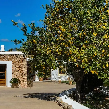 Fita Villa *